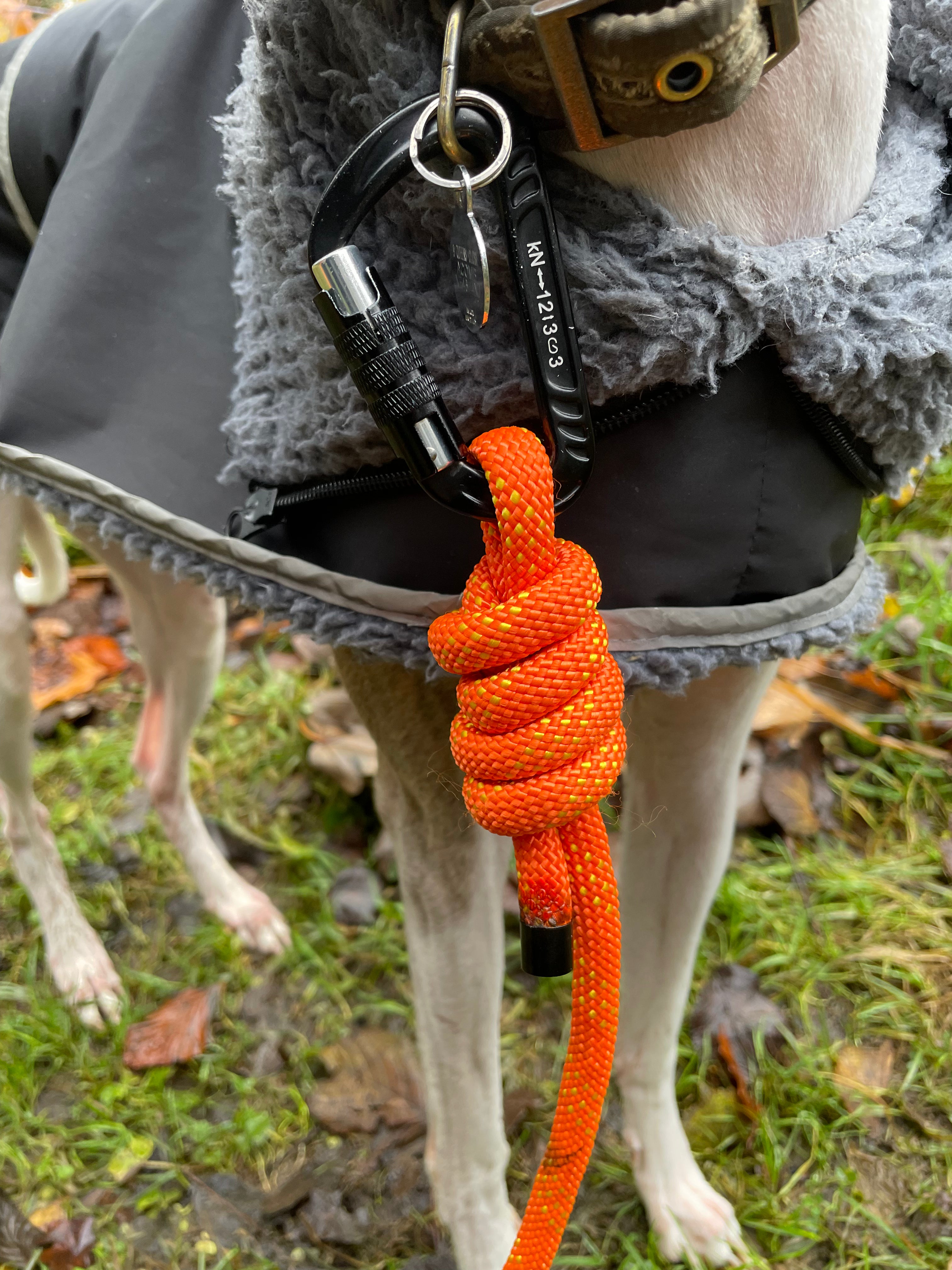 Summit Rope Leash