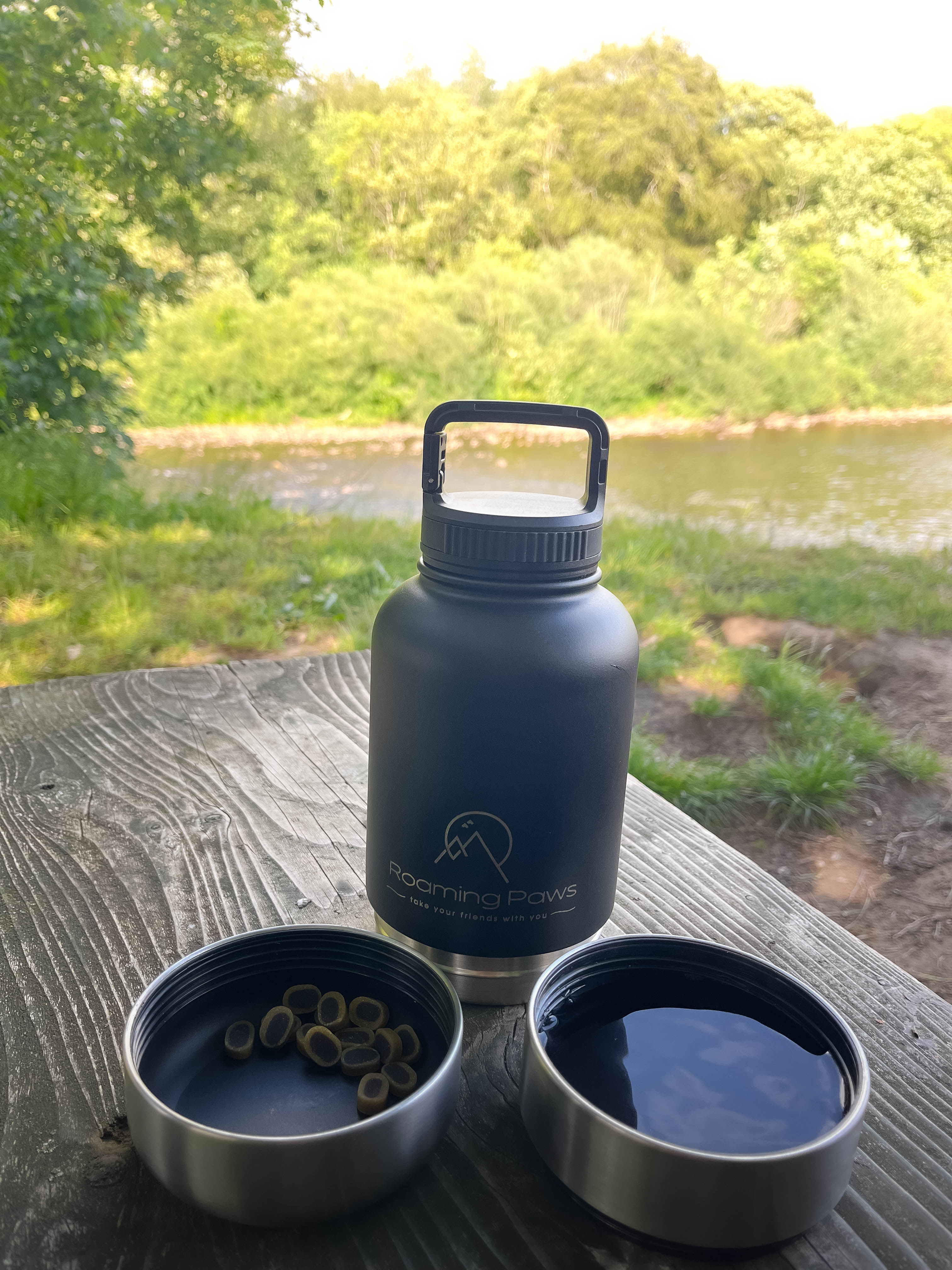 3-in-1 Roaming Paws Bottle
