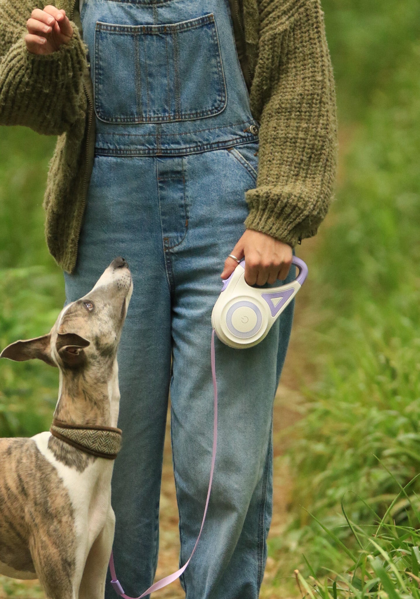 LED Retractable Dog Leash