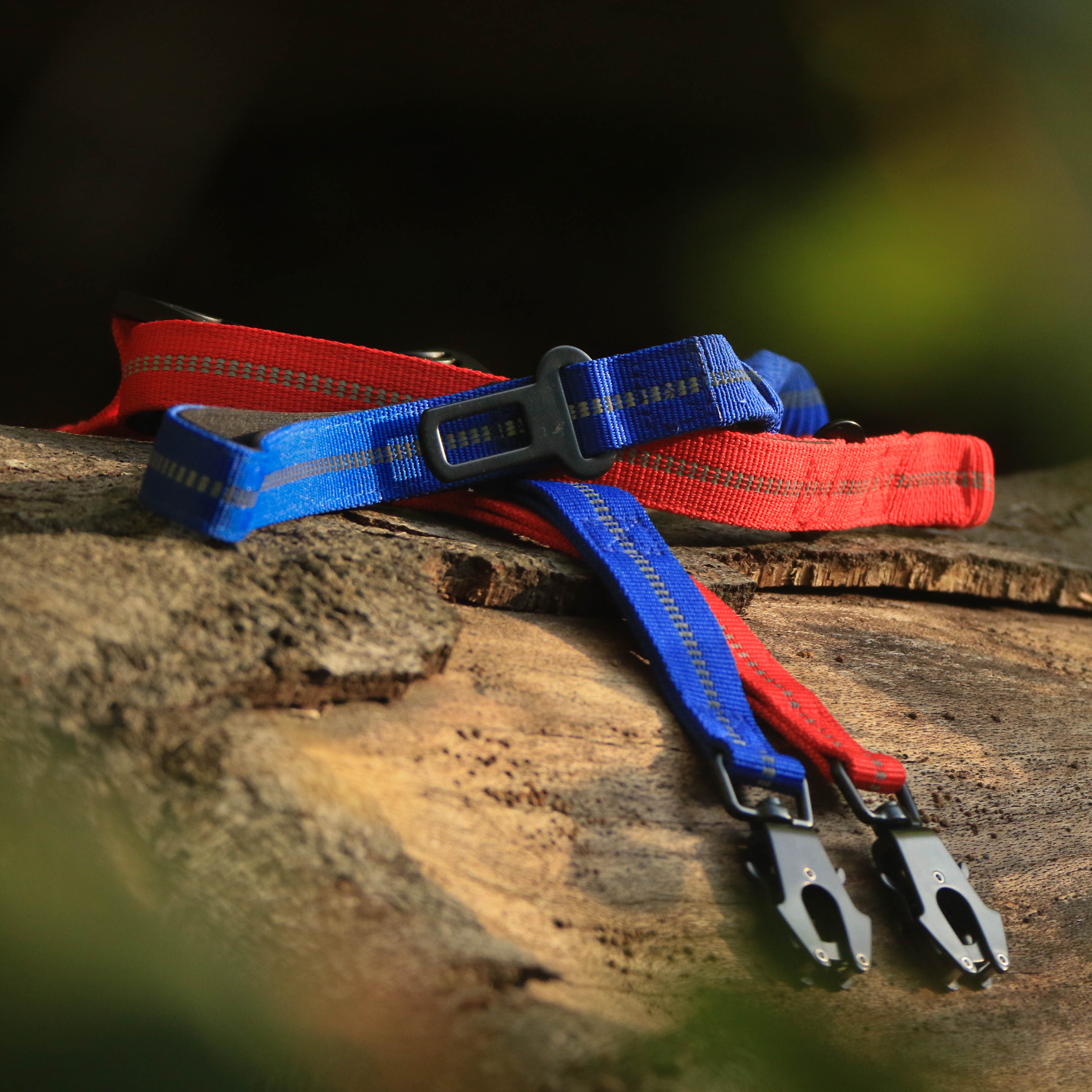 Shock Absorbing Leash with Car Seatbelt