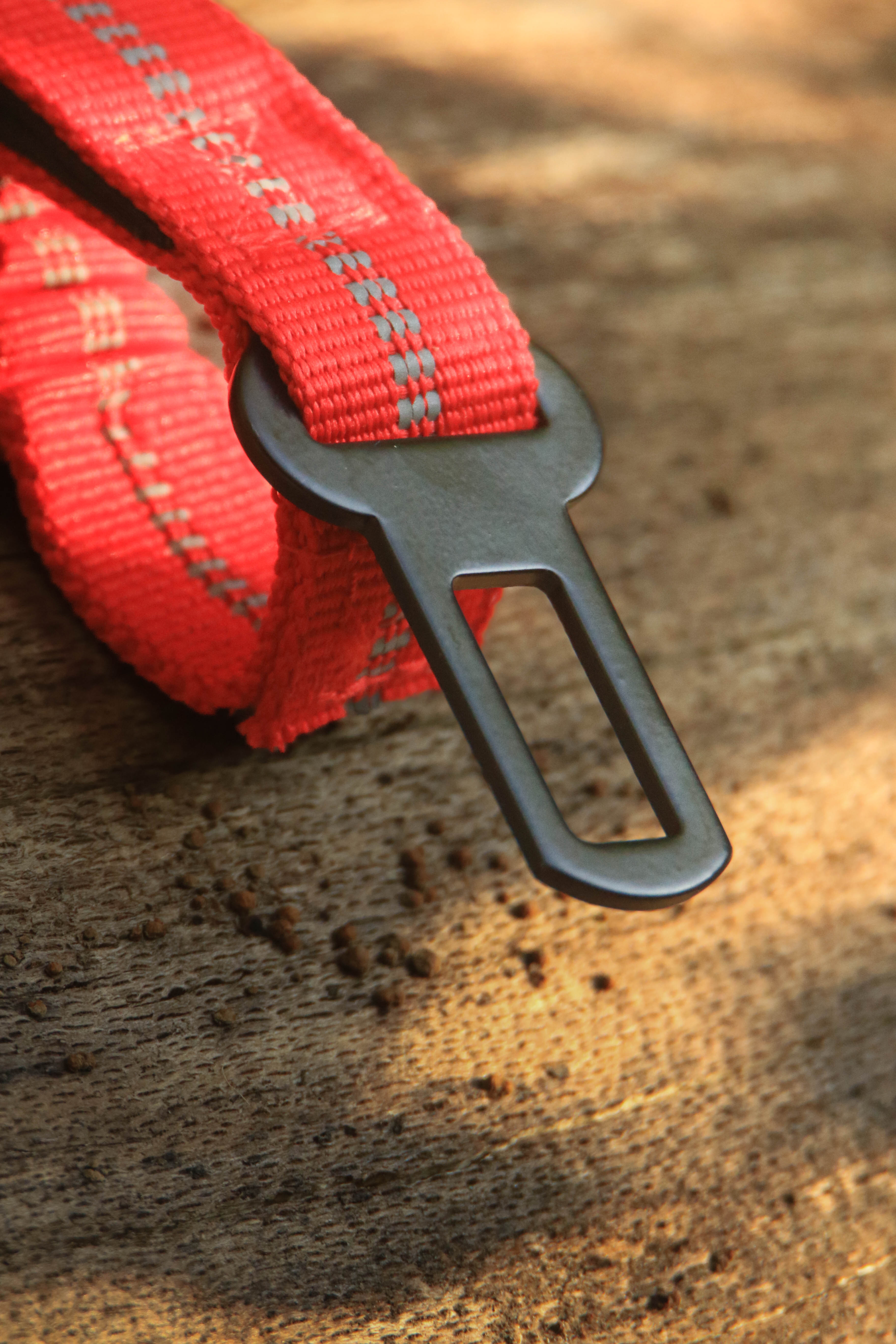 Shock Absorbing Leash with Car Seatbelt