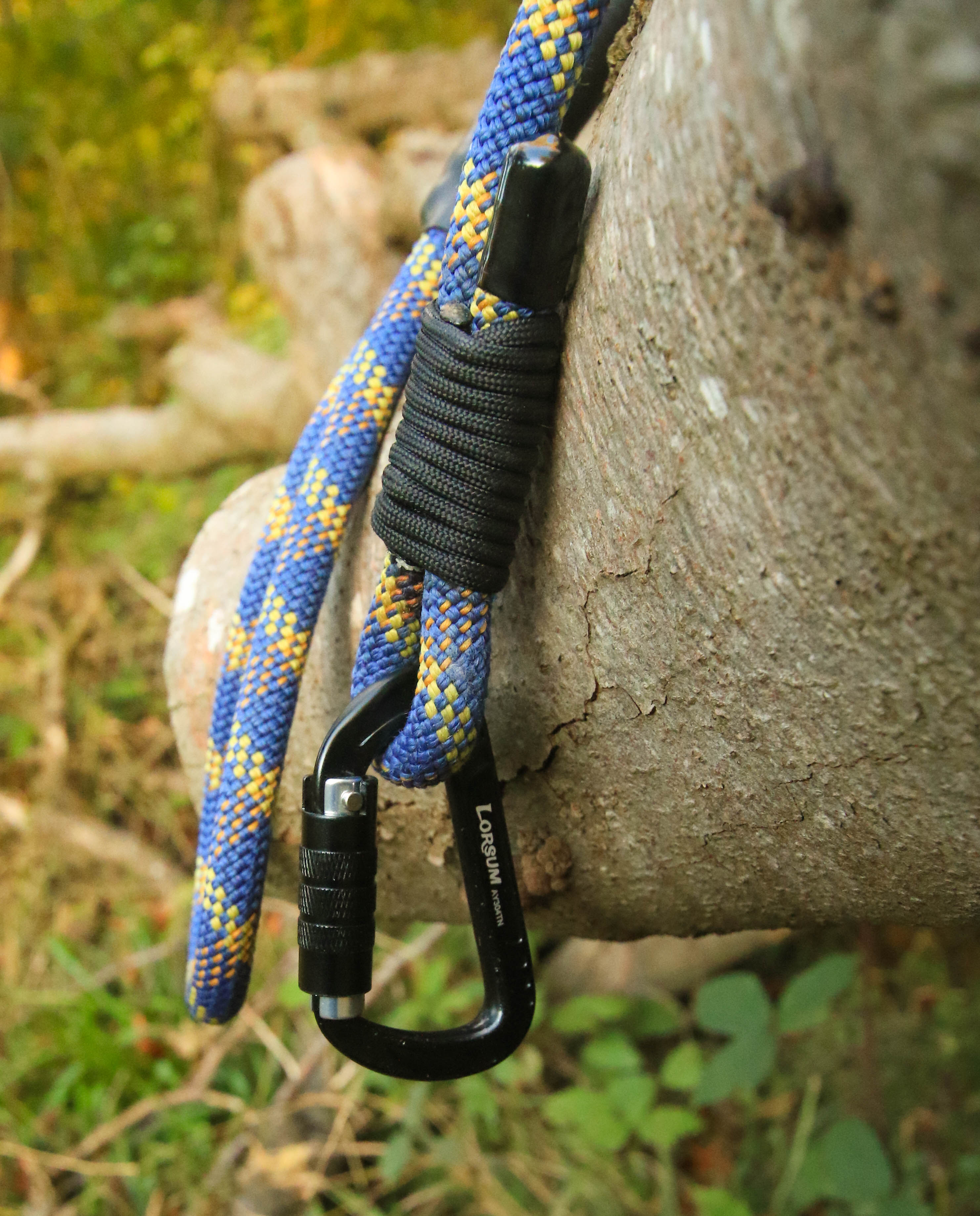 Roaming Rope Leash