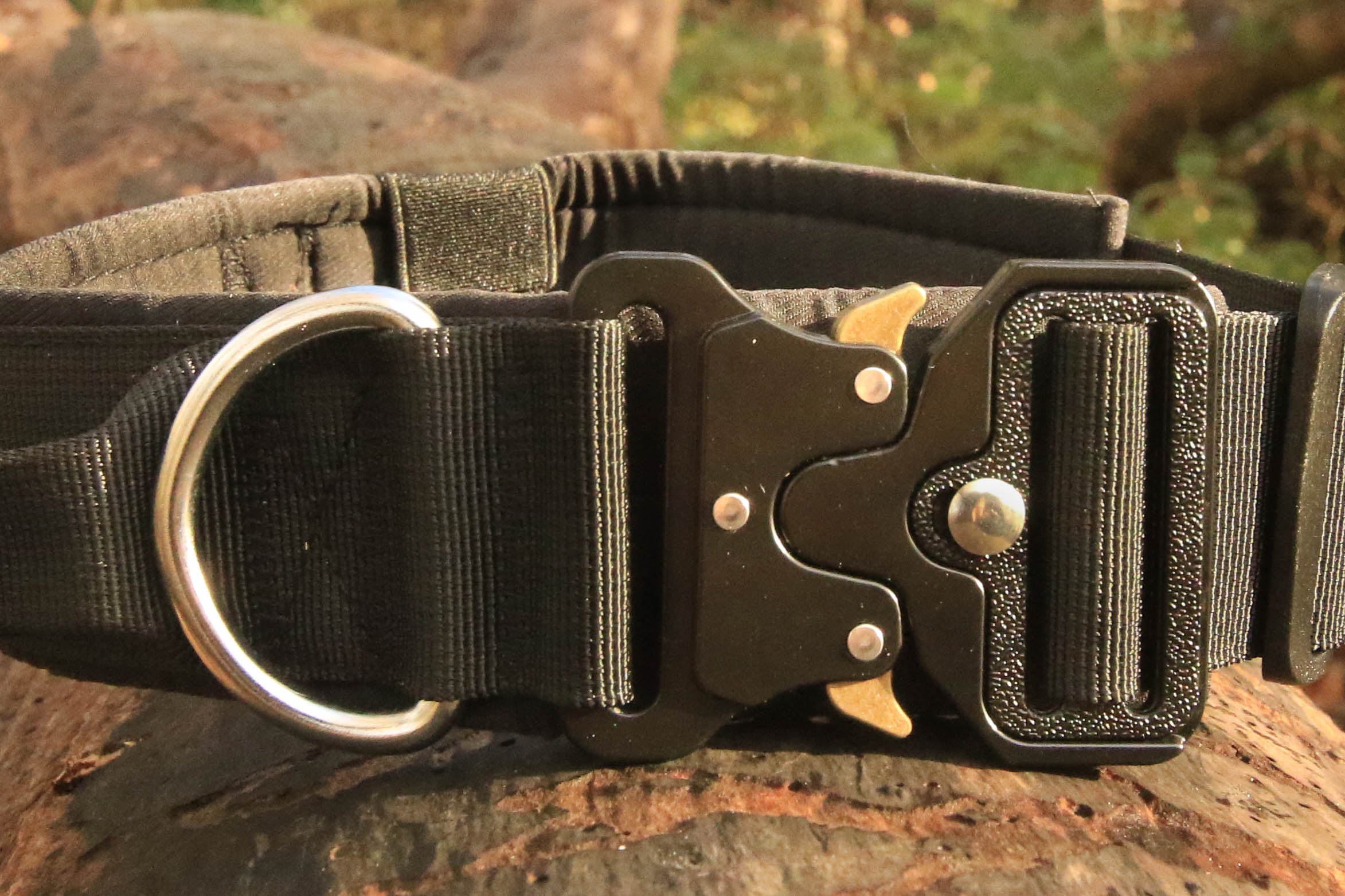 Titan Collar