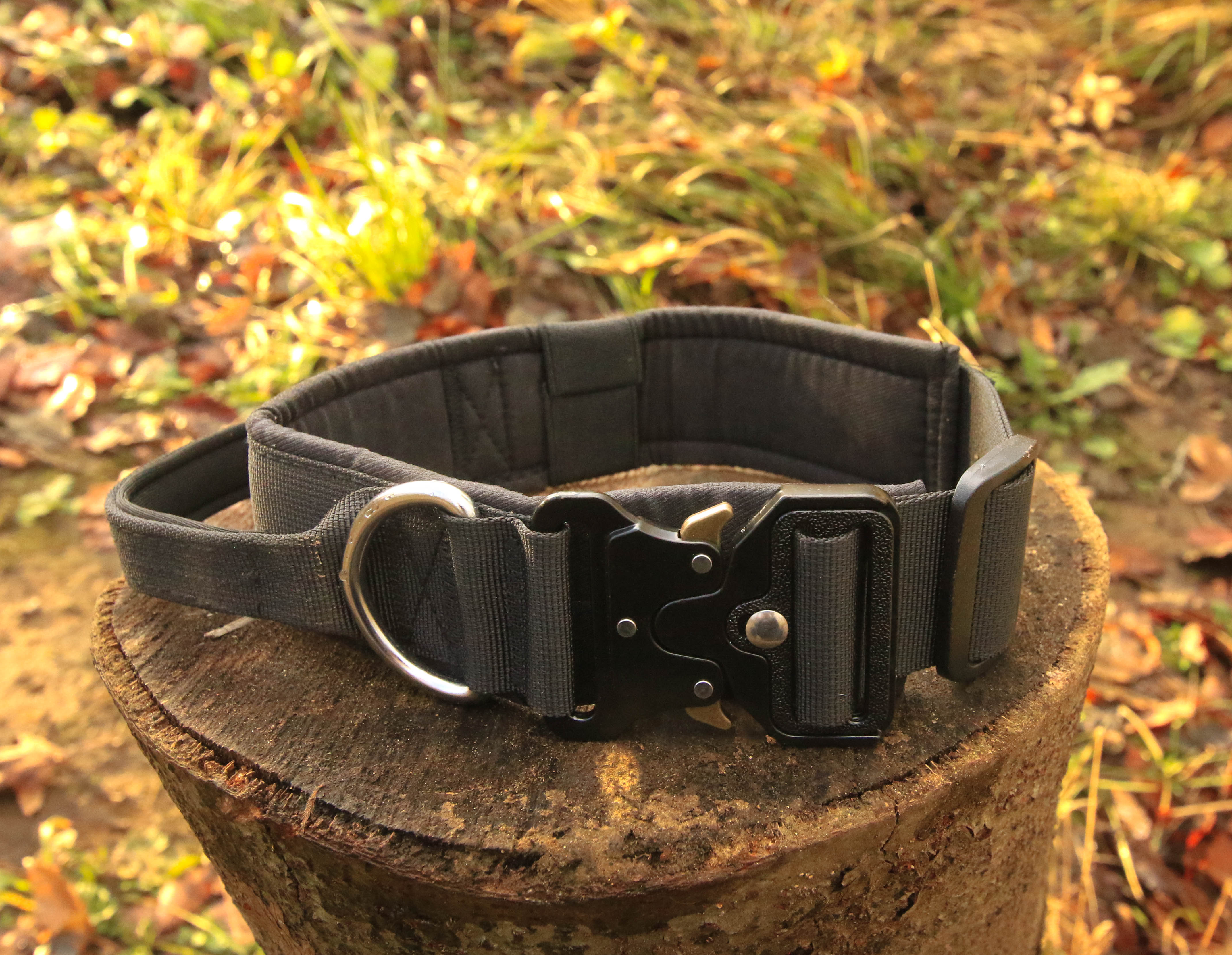 Titan Collar
