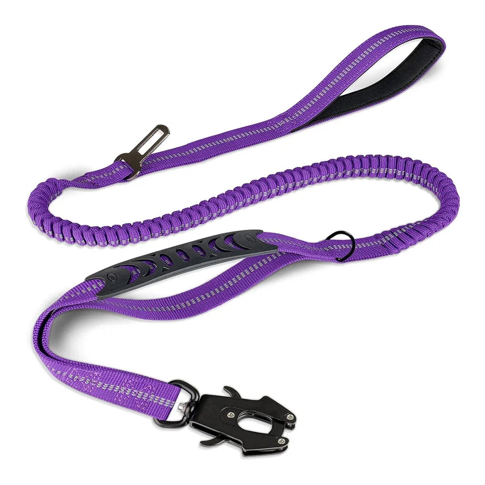Shock Absorbing Leash with Car Seatbelt