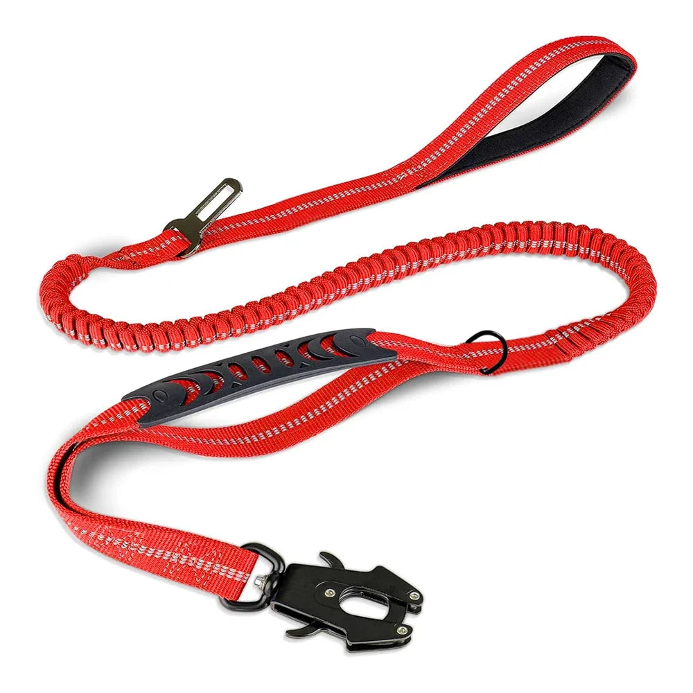Shock Absorbing Leash with Car Seatbelt