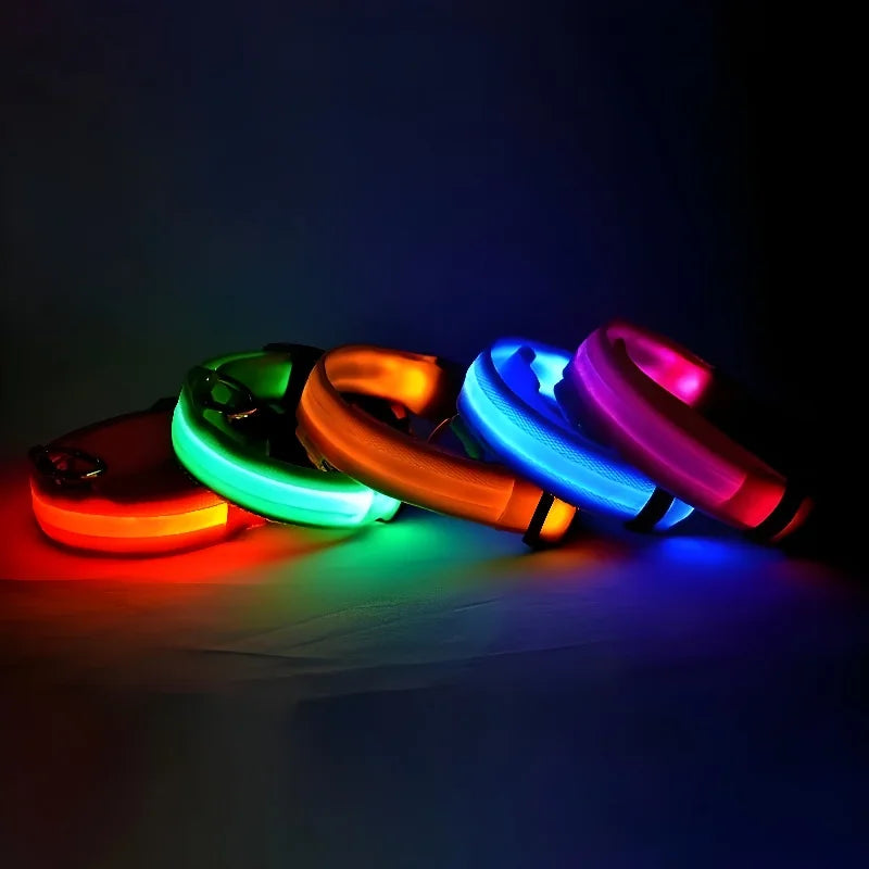 LED Dog Collar Night Light