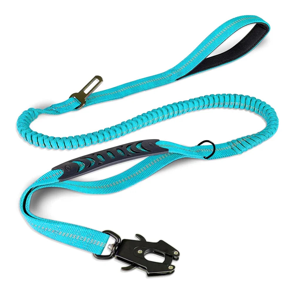 Shock Absorbing Leash with Car Seatbelt