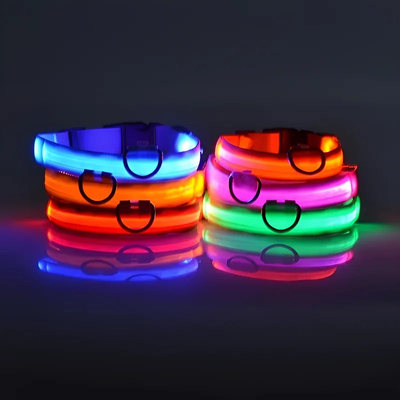 LED Dog Collar Night Light