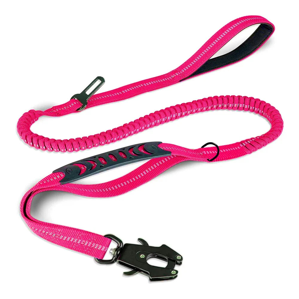 Shock Absorbing Bungee Leash