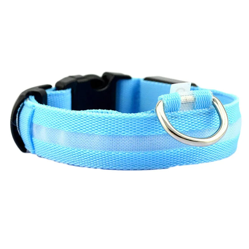 LED Dog Collar Night Light