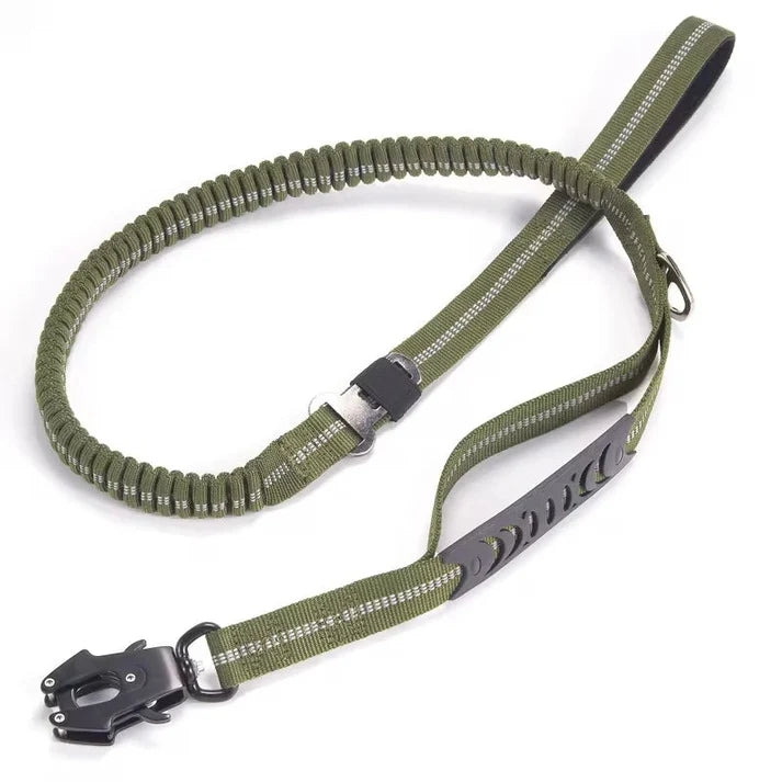 Trail Flex Bungee Lead