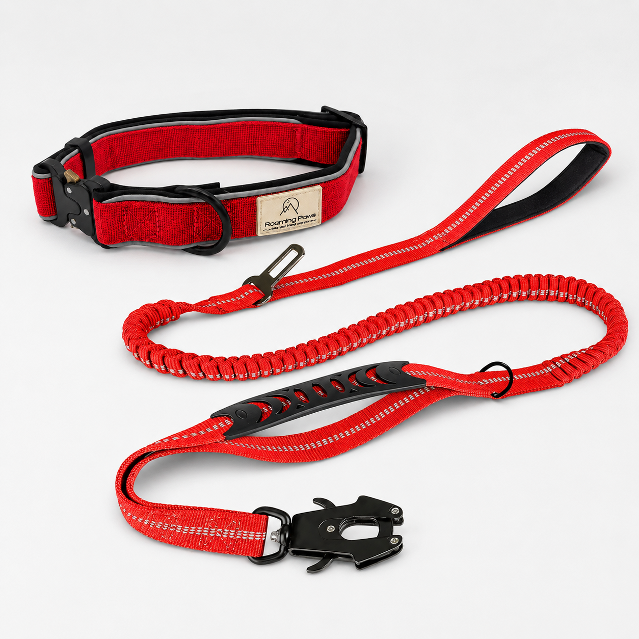 Trail Collar & Bungee Lead Bundle