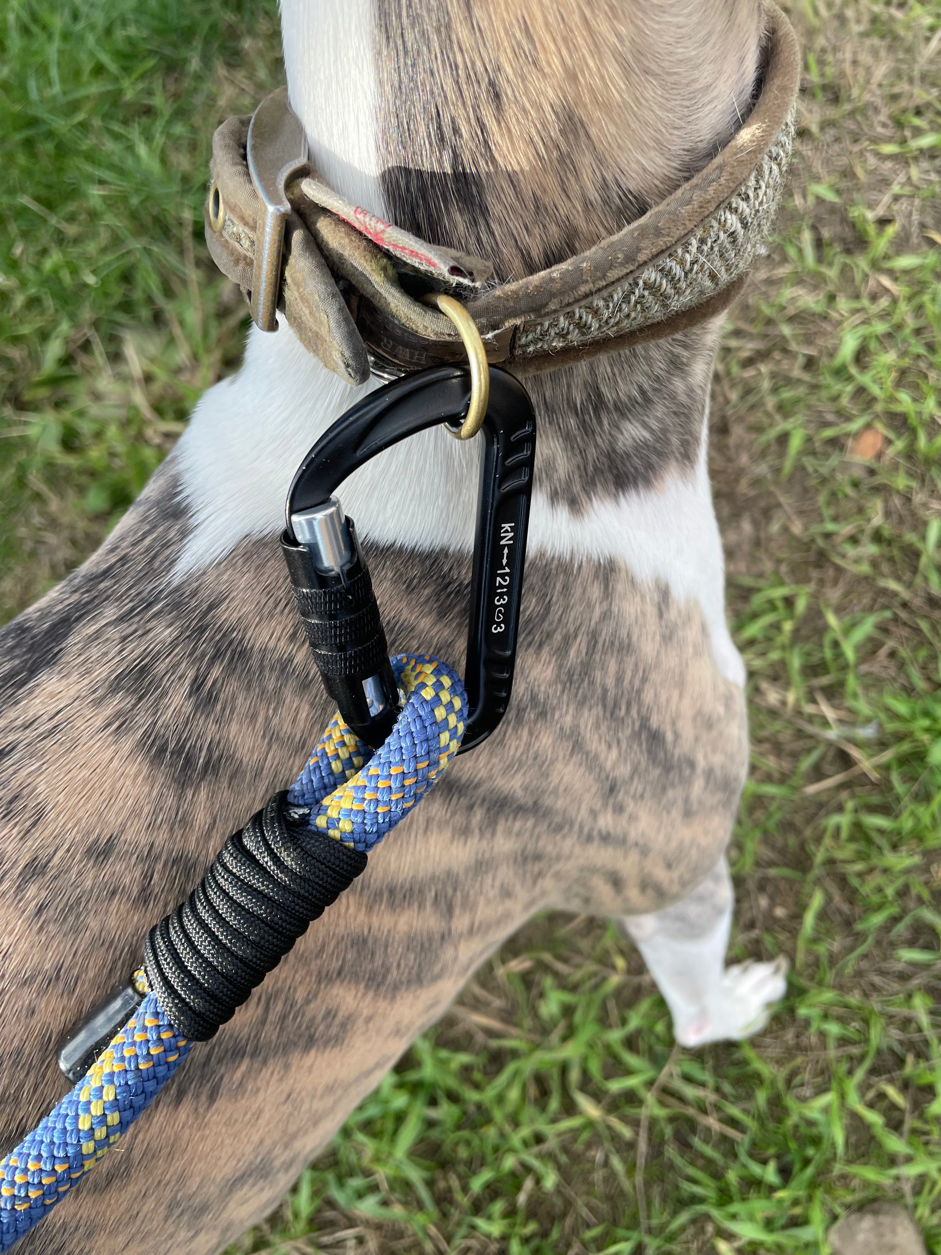 Roaming Rope Leash