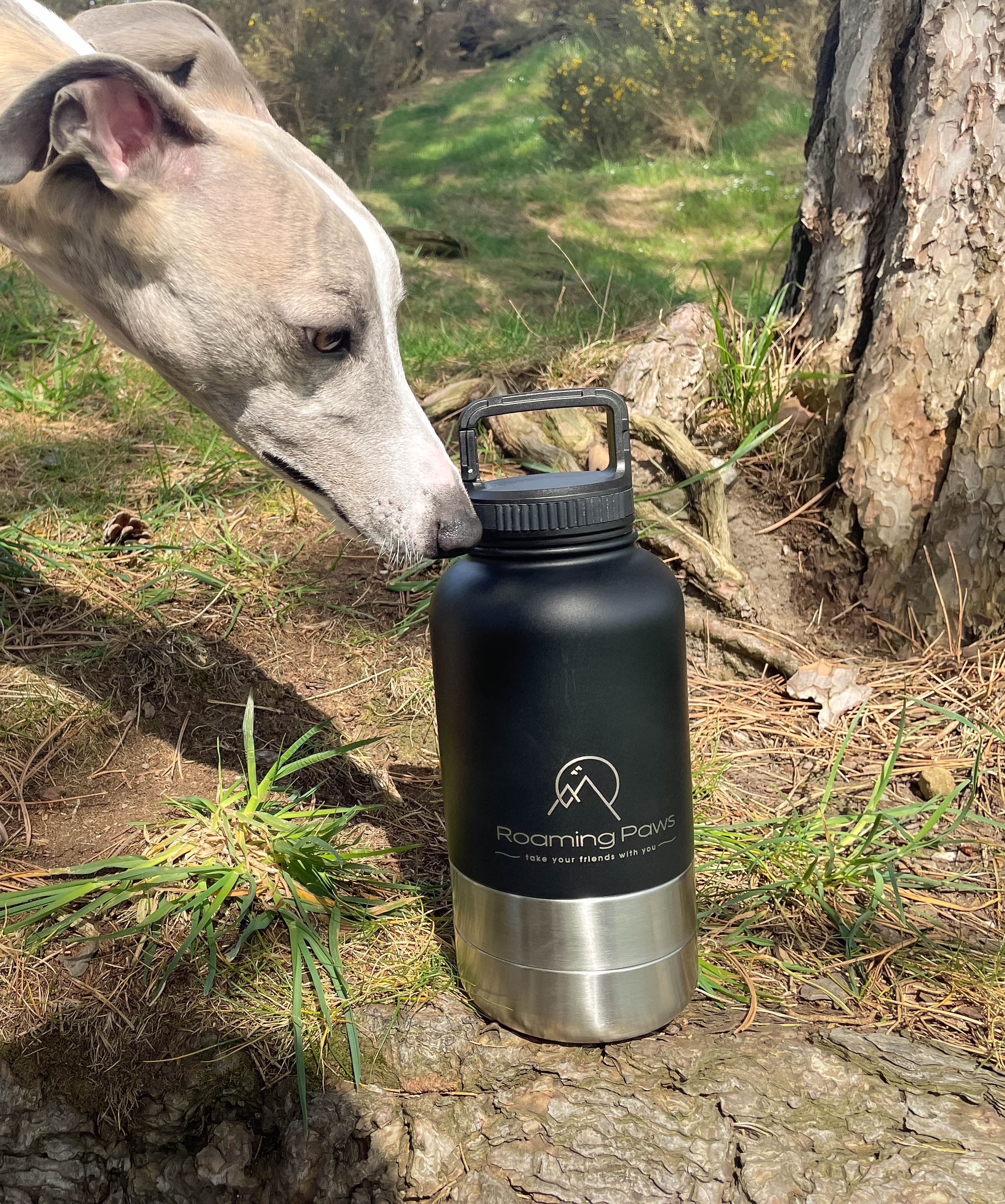 3-in-1 Roaming Paws Bottle