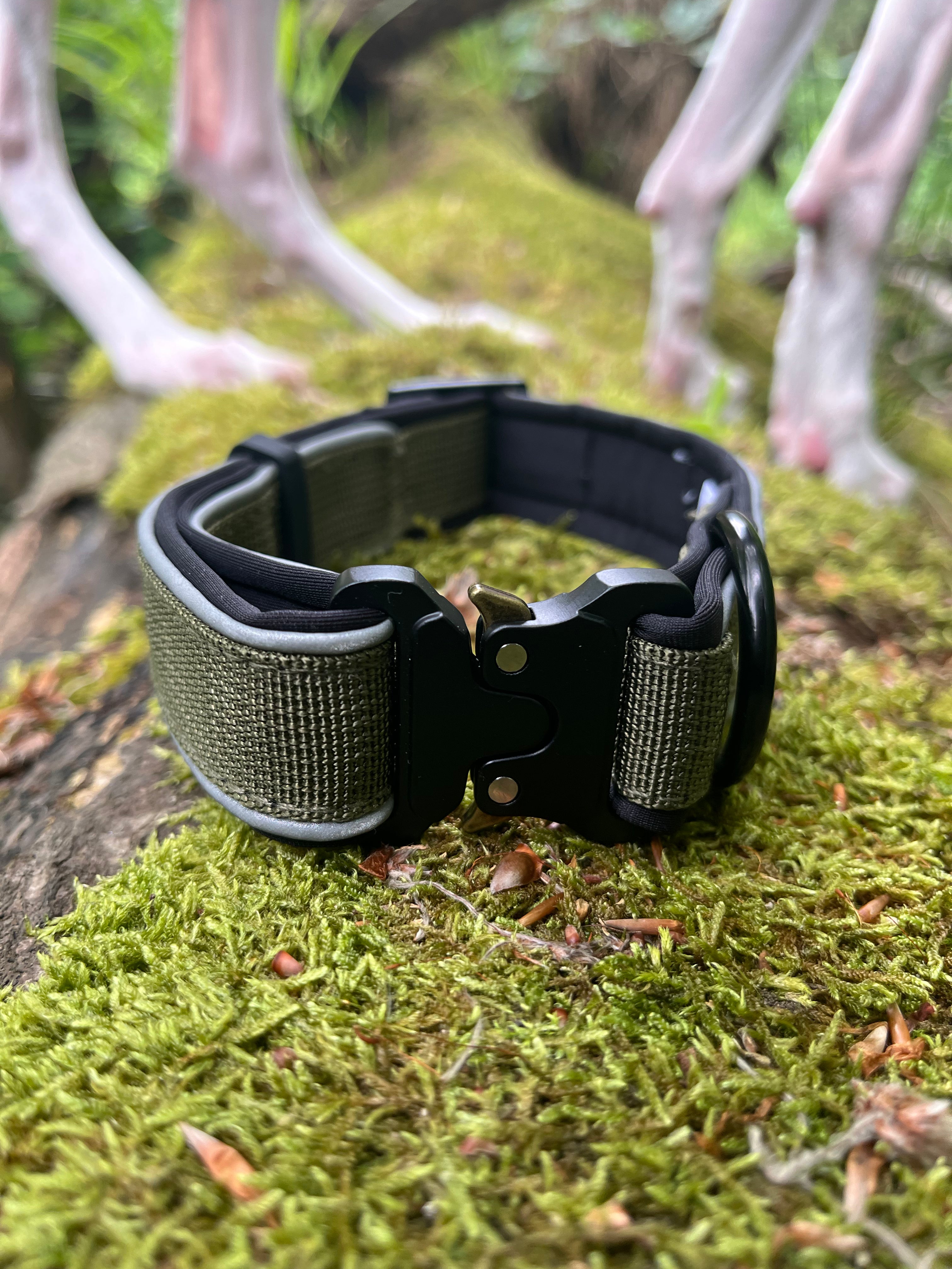 Trail Core Padded Dog Collar