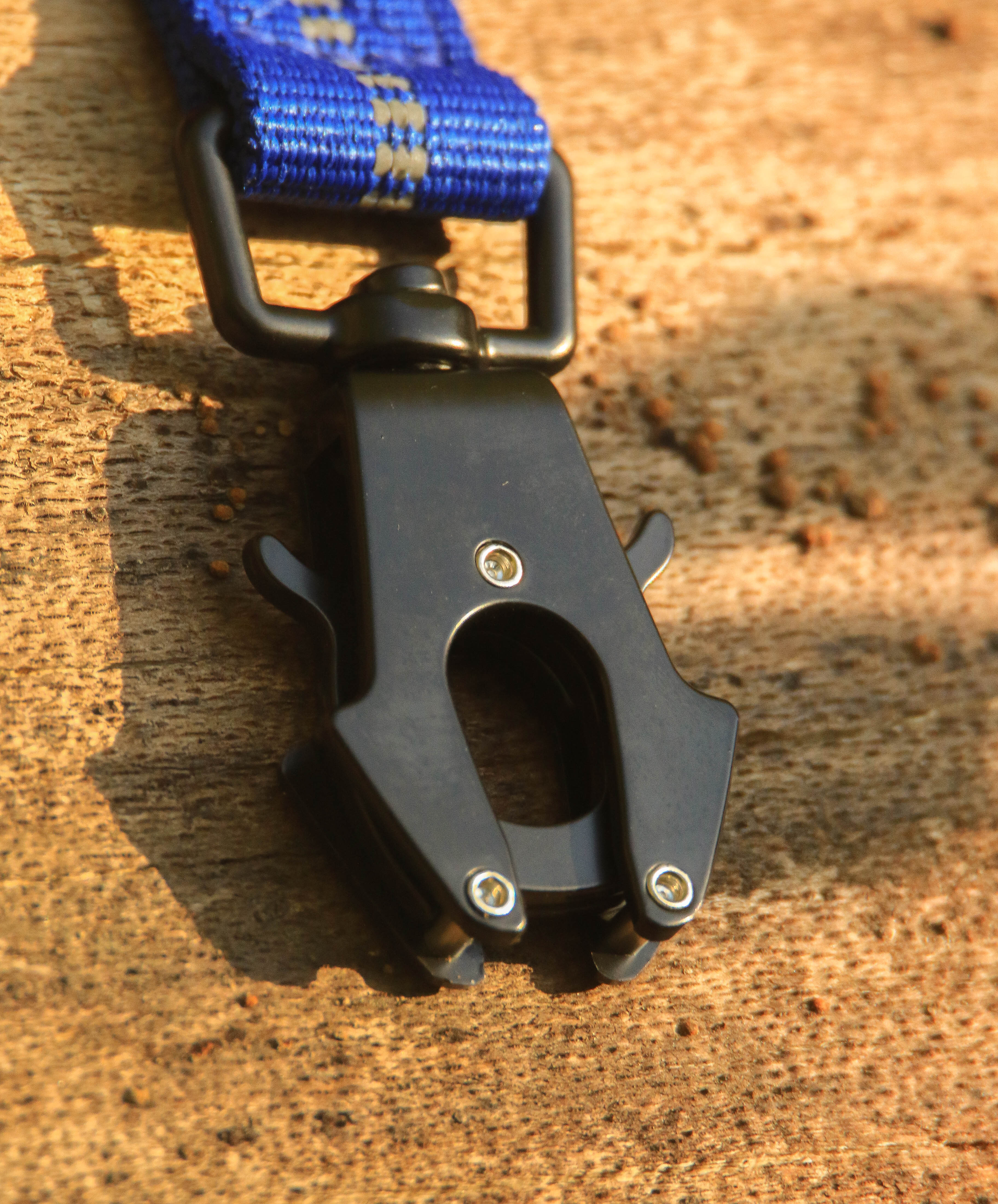 Trail Flex Bungee Lead