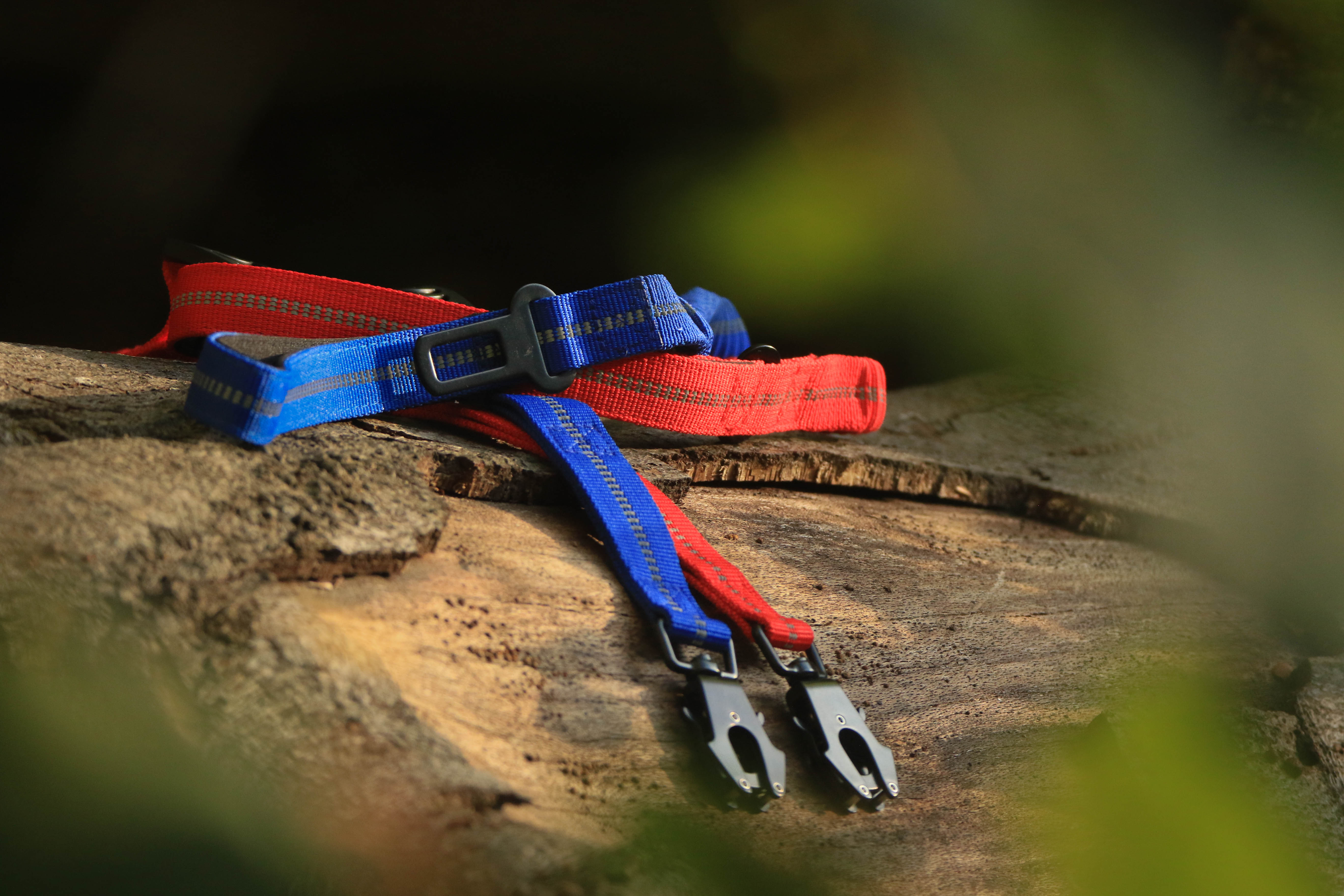 Shock Absorbing Leash with Car Seatbelt