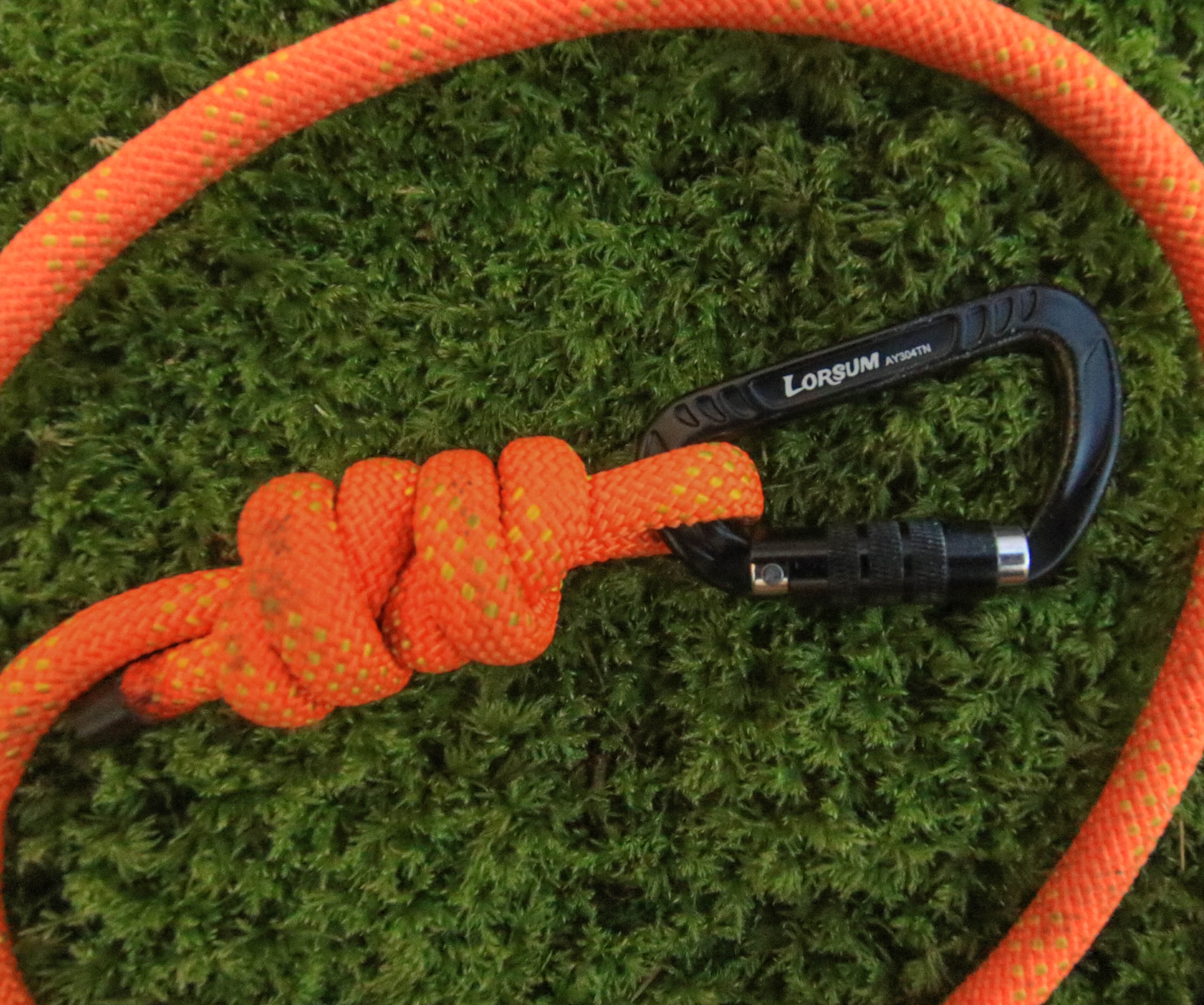 Summit Rope Leash